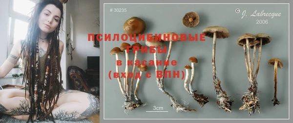 гидропоника Верея
