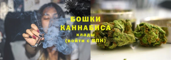 стафф Верхний Тагил