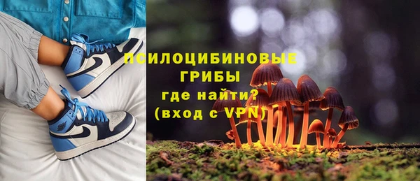 гидропоника Верея
